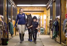 Quanto costa mantenere un cavallo?