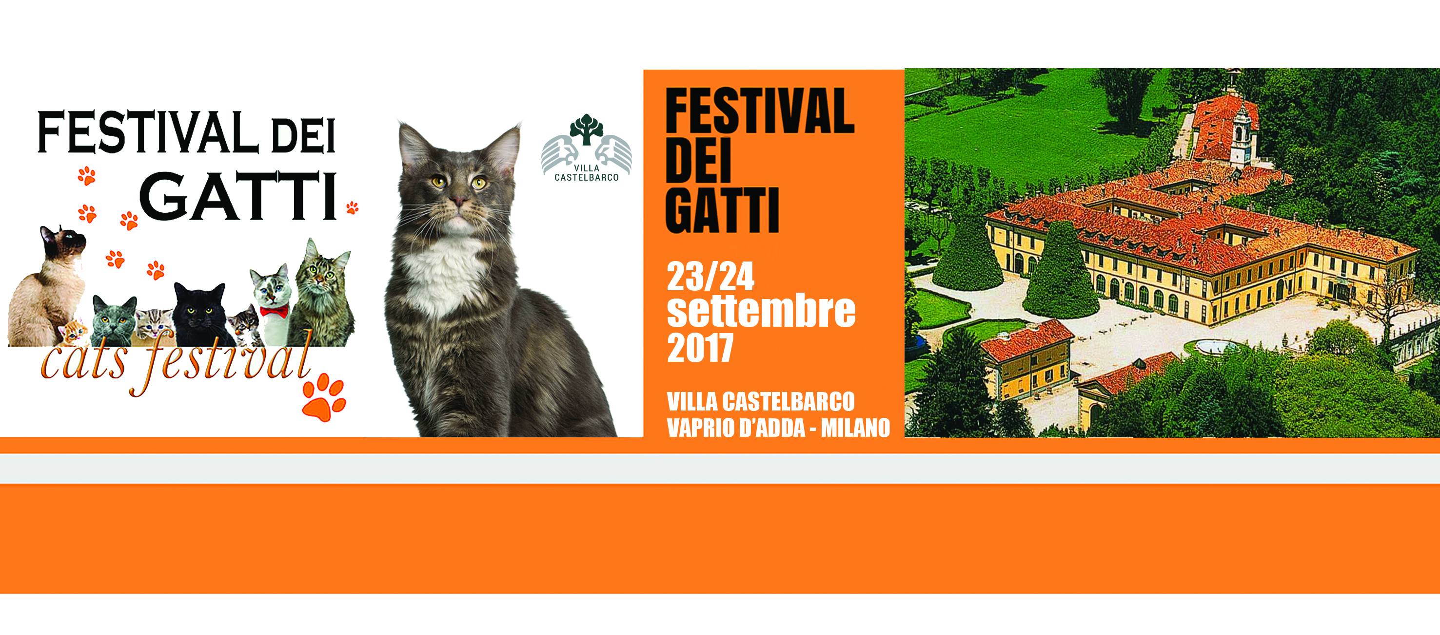 Festival dei Gatti